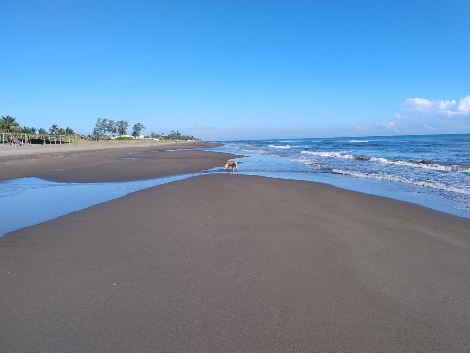 Playa Encantada カシータス エクステリア 写真